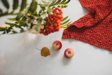 autumn still life with rowan and apples on a table