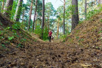 Fototapeta premium Walk in nature. A girl on a walk with a dog. Friendship between human and dog.