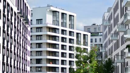Obraz premium Eco architecture. Green tree and new apartment building. The harmony of nature and modernity.