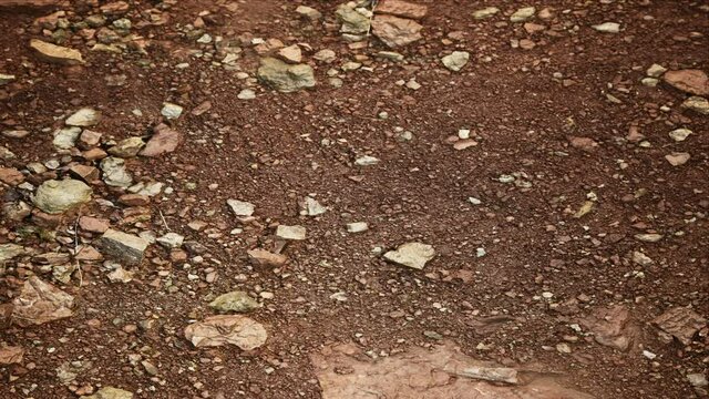 Dry Ground Texture Background Loop