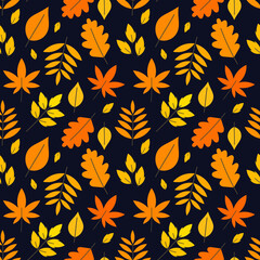 Naklejka na ściany i meble Autumn leaves colorful pattern.