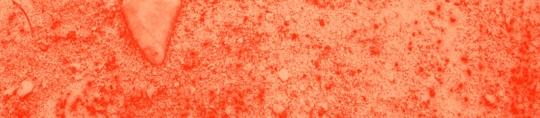 abstract live coral color background for design