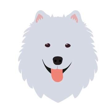 Dog samoyed head icons.Vector illustration with cartoon style.