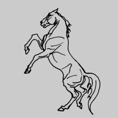 drawing,  horse on white background, Isolated hand drawing