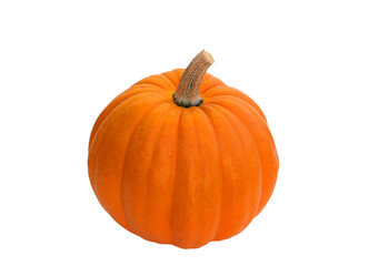 Pumpkin isolated on white background.