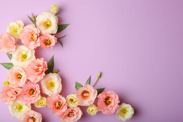 beautiful flower arrangement on a colored background with place for text. 