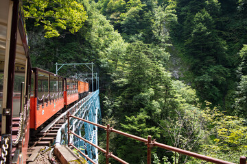 後曳橋を渡るトロッコ列車