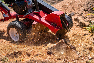 Man grinding a stump with a gas powered stump grinder