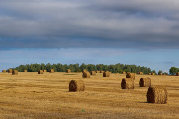 bales of hay
