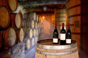 Red wine tasting in an old wine cellar with wooden wine barrels in a winery - 453001435