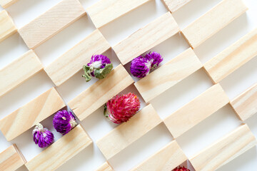 wooden blocks with globe amaranth blossoms on white