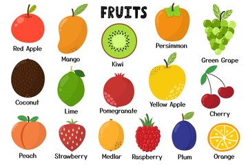 Fruits collection. Healthy food isolated elements in cartoon style. Great for recipes, cookbook and vegan prints. Apple, mango, kiwi, coconut and more. Vector illustration