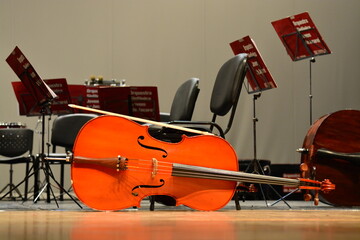 O violoncelo