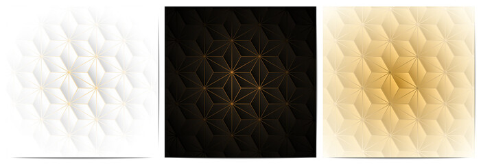  Set of geometric pattern golden lines. Luxury of black,white and gold background with triangle shape