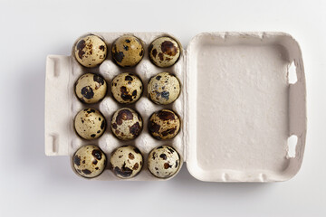 Several quail eggs in a white egg carton, seen from above, isolated on white background