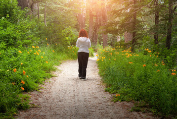 Fototapeta na wymiar woman girl walking alone in the forest full of blooming yellow flowers and sun shining. Freedom adventure happiness concept idea.