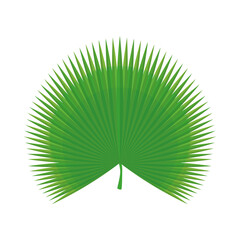 fan palm icon