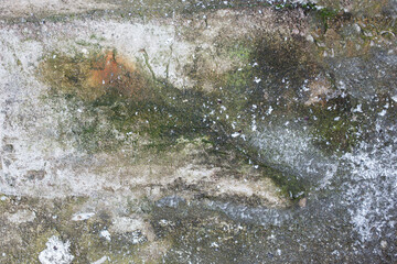 colourful green background texture on the ground