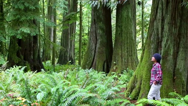 macmillan provincial park vancouver island