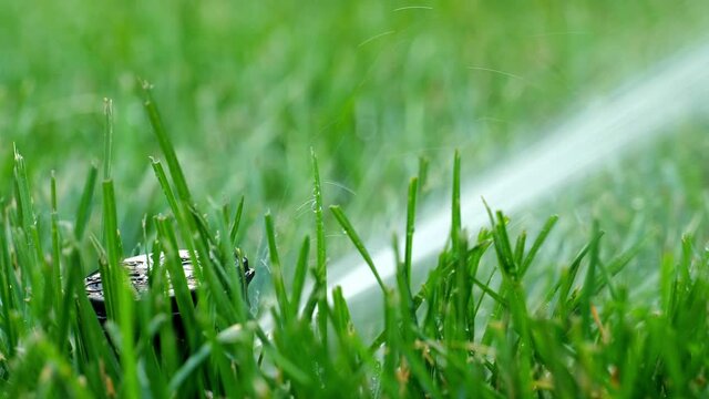 Rotating lawn sprinkler head watering the green grass by spraying water as it turns. Closeup clip with zoom out.