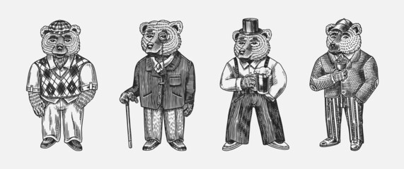 Fototapeta na wymiar Bear in vintage costume with beer. Fashion animal character in tweed jacket. Hand drawn sketch. Retro look. Vector engraved illustration for logo and tattoo or T-shirts.