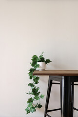 Artificial Indoor Ivy Vine