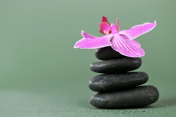Spa Stones and Orchid Flower. Massage Stone.Beauty and harmony. Black stones and pink orchid flower in water drops on green background. High quality photo