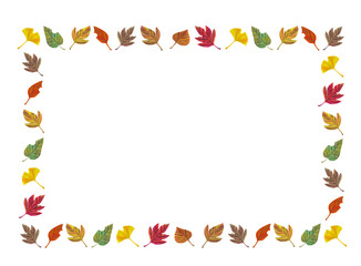 落ち葉フレーム