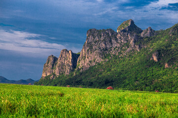 panoramic background of high mountain scenery, overlooking the atmosphere of the sea, trees and wind blowing in a cool blur, spontaneous beauty