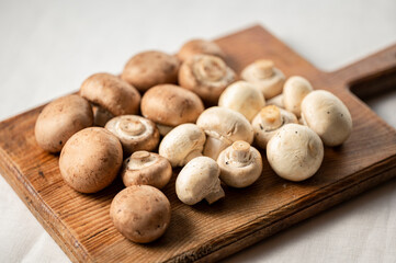 マッシュルーム