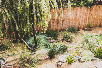 idyllic backyard with Australian native plants and trees