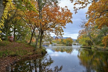 晩秋の大沼公園で見たカラフルな紅葉情景＠北海道