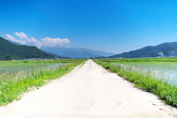 Fototapeta na wymiar 快晴の日の美しい農村の道路