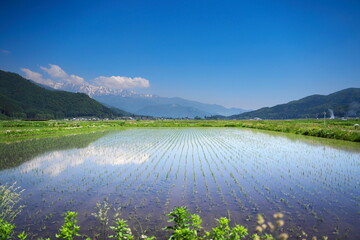 晴天の日の美しい田園の風景