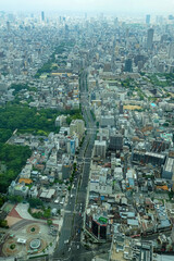 Fototapeta premium あべのハルカスからの眺め