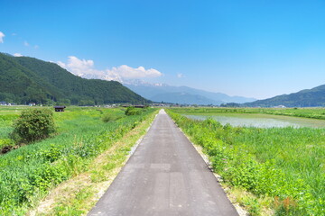 美しい快晴の日の農村の道路