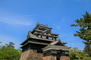 Naklejka premium 松江城