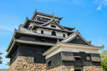 Fototapeta premium 松江城