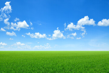 Fototapeta na wymiar Green sloping meadows with blue sky and clouds background.