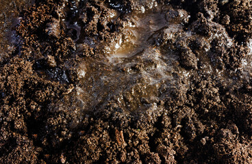 Closeup photo texture of dirt and mud, dark brown colored substance.