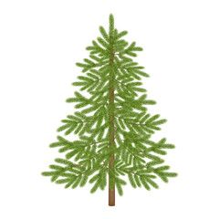 Isolated empty christmas tree for christmas backgrounds