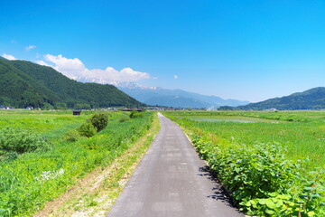 Fototapeta na wymiar 快晴の日の美しい農村の景観