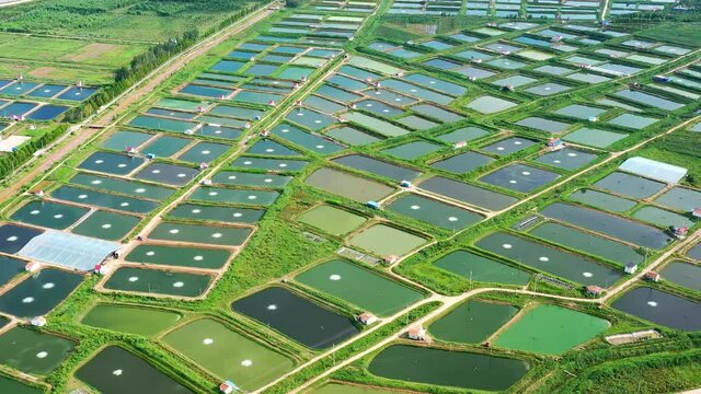 Rotating aerial shot of neat green farmlands in China. Idyllic landscape