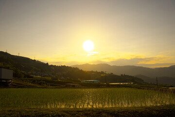 夕暮れ時の美しい棚田の景色