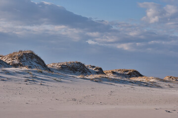 Horizontal image of New Jersey's Island Beach State Park and the Protected and endangered sand dunes in late afternoon light on an empty beach