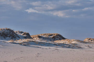 Horizontal image of New Jersey's Island Beach State Park and the Protected and endangered sand dunes in late afternoon light on an empty beach