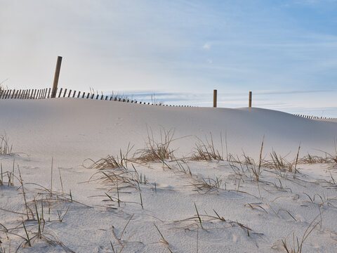 Horizontal image of New Jersey's Island Beach State Park and the Protected and endangered sand dunes in late afternoon light on an empty beach