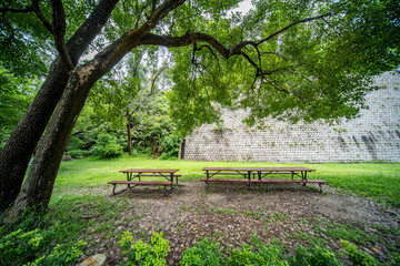 A public wooden seat under a tree in a park