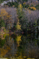Fototapeta na wymiar Autumn fall colors on he shore line of Echo lake in the White mountains of New Hampshire