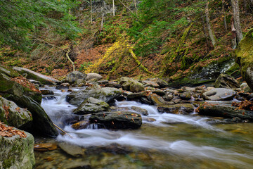 Fototapeta premium Moss covered rocks and colorful autumn leaves surround a brook with small cascades in the Vermont Forest near Stowe